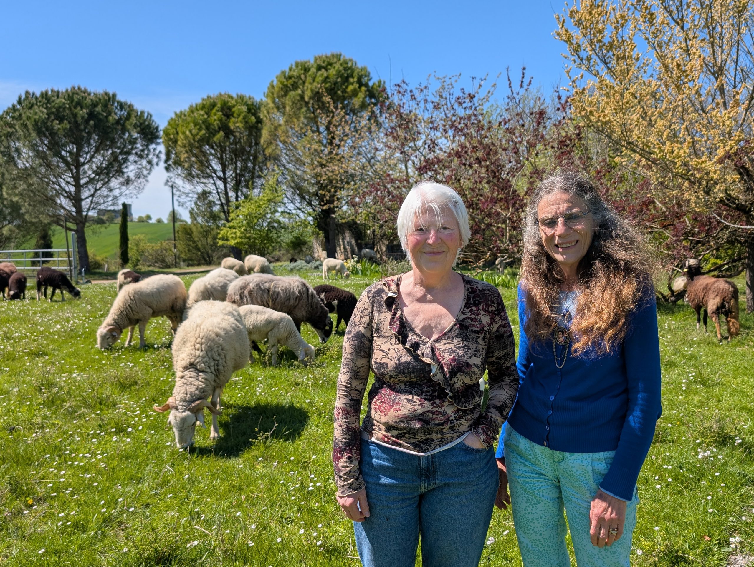A Grateloup, depuis 10 ans, l&rsquo;art vivant s&rsquo;invite au milieu des moutons.